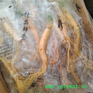 丽丽药业 人参保鲜参大号保鲜参中药材批发 滋补保证实图拍照7天无理由退货退款图2