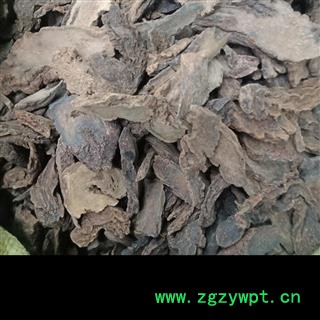 丽丽药业 人参保鲜参大号保鲜参中药材批发 滋补保证实图拍照7天无理由退货退款图4