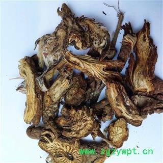 白头翁 东北优质正品货正品保证质量7天无理由退货退款 安品堂图2