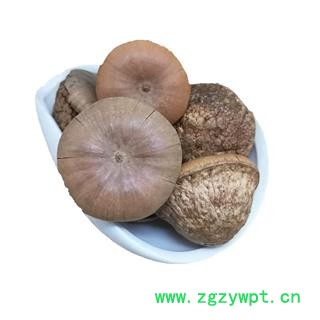 风流果 天竺粒 泡酒料 龟头子图4