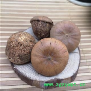 风流果 天竺粒 泡酒料 龟头子图3