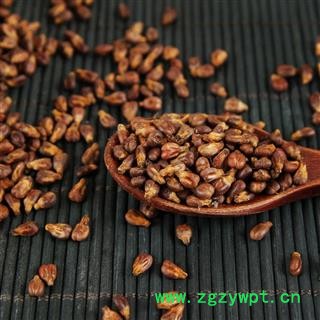 新疆 葡萄籽 葡萄子图3