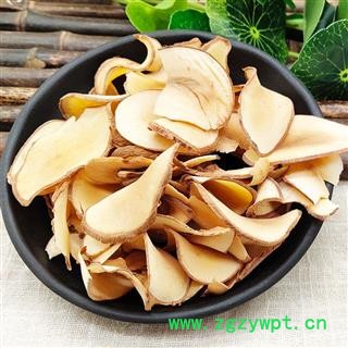 底椰 煲汤料 海底椰片 海椰子图3