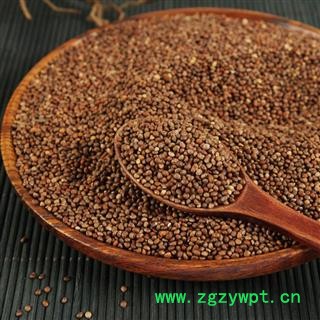 中药材批发 生紫苏子 紫苏子籽 黑苏籽图3