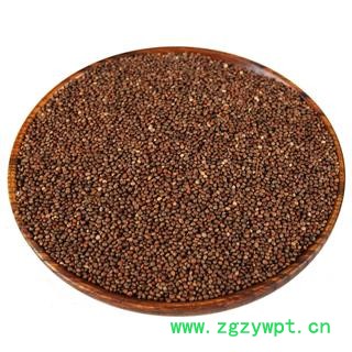 中药材批发 生紫苏子 紫苏子籽 黑苏籽图4