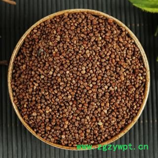 中药材批发 生紫苏子 紫苏子籽 黑苏籽图2