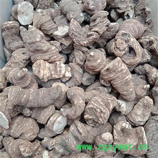 重楼个子 云南重楼个子中选正品保证质量7天无理由退货退款 中药材批发 丽丽药业图2