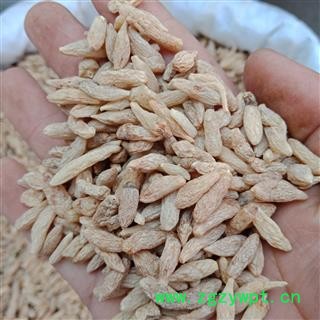 丽丽药业 麦冬 四川麦冬 川麦冬 中药材批发 正品保证实图拍照7天无理由退货退款图3