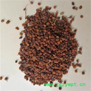 圣草康园南五味子 西五味子 一手货源 产地直供 净货图2