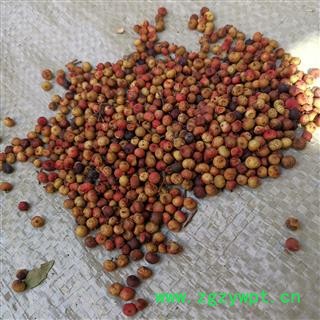 圣草康园山五味子 冷饭子，糯米果 老米酒产地云南南烛子图3