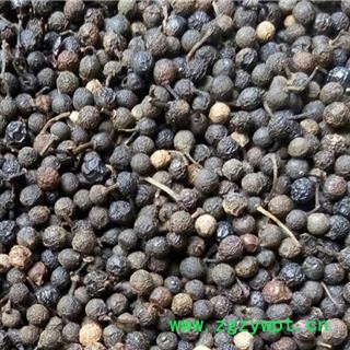 圣草康园荜澄茄 大粒香气浓 山苍子 山鸡椒 山香根 木姜子大粒的图2