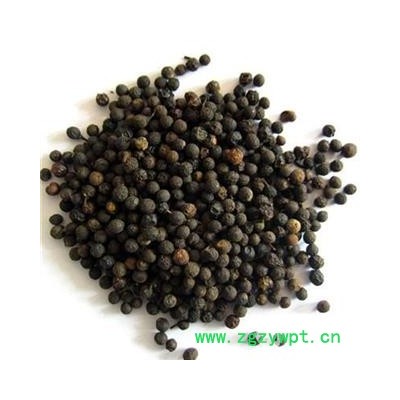 圣草康园荜澄茄 大粒香气浓 山苍子 山鸡椒 山香根 木姜子大粒的