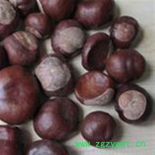 圣草康园娑罗子 娑罗子片图2