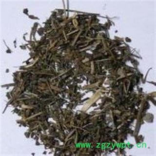 女菀 别明白菀 一年蓬 正品保证质量无理由退货退款图2