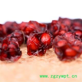 五味子东北长白山新鲜 北五味子五味茶图2