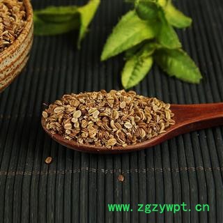 蛇床子 蛇米 蛇珠图2