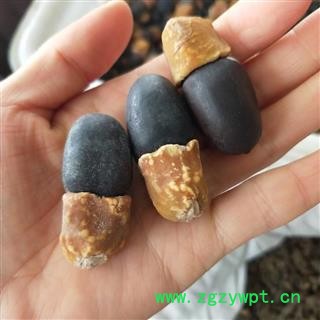 中药材缅伽 缅茄菩提子 阴阳果 马牙果图3