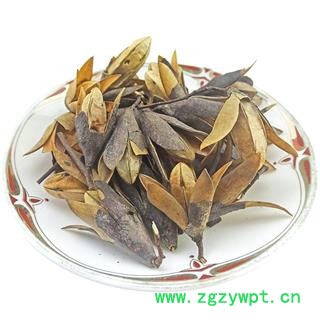 香椿子 香铃子  香椿种子果实香椿果籽香椿树籽中药材图4