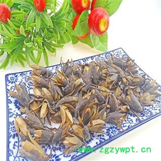 香椿子 香铃子  香椿种子果实香椿果籽香椿树籽中药材图2