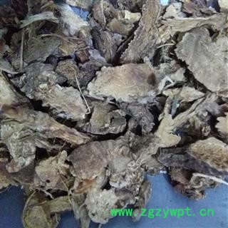 圣草康园鸢尾 鸢尾根 木蝴蝶花根 铁扁担 蝴蝶花根图2