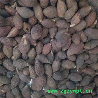 胖大海花草茶 胖大海润喉茶 可搭配甘草片金银花菊茶胖大海图4