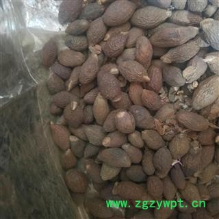 胖大海花草茶 胖大海润喉茶 可搭配甘草片金银花菊茶胖大海图3