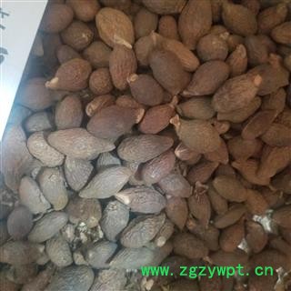 胖大海花草茶 胖大海润喉茶 可搭配甘草片金银花菊茶胖大海图2