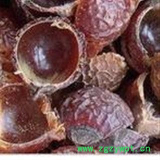 中药材无患子 无患子果  无患子皮 无患子仁图2