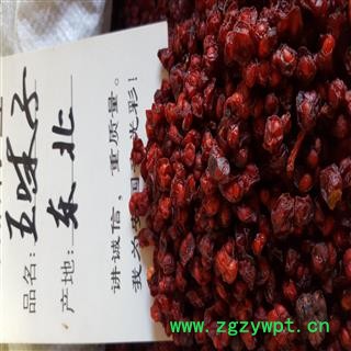 圣草康园五味子 辽五味子 北五味子  统 产地直销图2