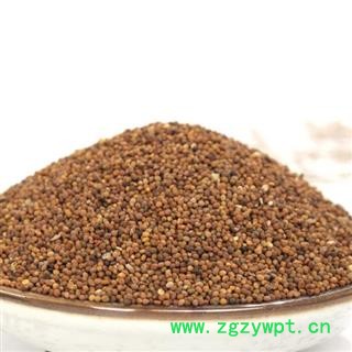 圣草康园菟丝子 菟丝子统货、水洗选货 过色选水洗 可走药厂饮片厂图2