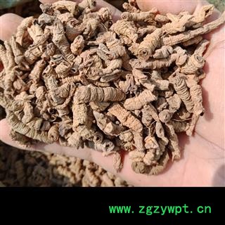 丽丽药业 巴戟天 中药材批发 统货正品保证实图拍照7天无理由退货退款图2