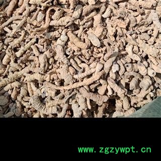 丽丽药业 巴戟天 中药材批发 统货正品保证实图拍照7天无理由退货退款图3