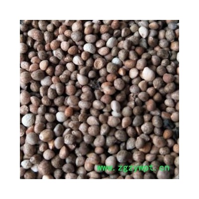 苏子 紫苏子净货 产地 山东省