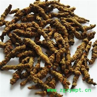 黄连 单只莲 净500克 正品保证质量7天无理由退货退款图2