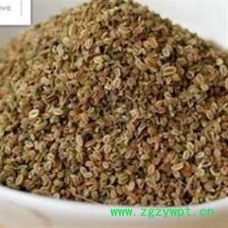 蛇床子 蛇床子净货 产地 山东省图2