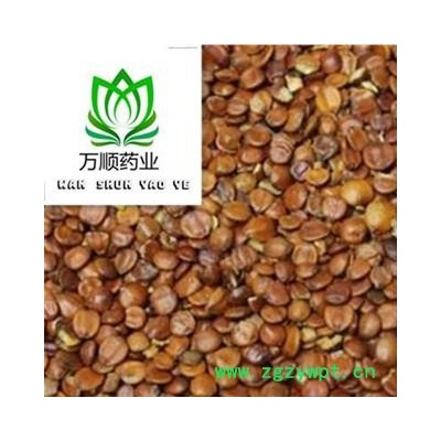 进口新货生酸枣仁选货 质量好价格低  规格齐全 产地 海外