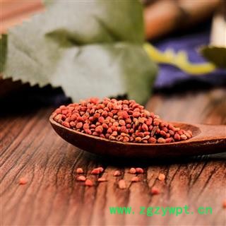 中药材 楮实子 褚实子 楮实米 楮桑图3