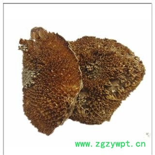 中药材  向日葵花盘 干向日葵花盘 向日葵花盘瓜子图2