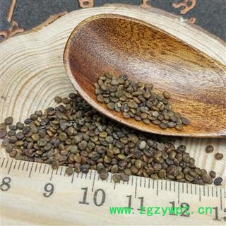 沙苑子沙苑蒺藜子 潼蒺藜 沙蒺藜图4