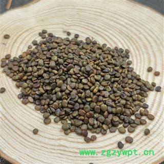 沙苑子沙苑蒺藜子 潼蒺藜 沙蒺藜图3