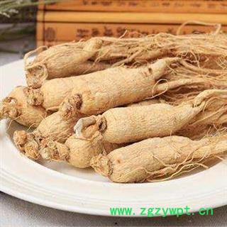 人参个子 带须人参大号正品保证质量7天无理由退货退款 中药材批发 丽丽药业图2