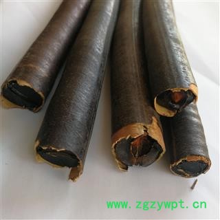 便秘果 大解果 腊肠果图2