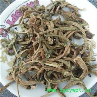 圣草康园苦丁香 甜瓜蒂 瓜蒂 烘干 无污染今年新货图2