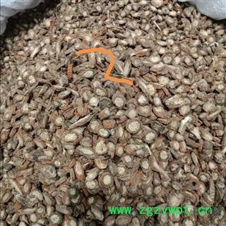 丹参 紫丹参选货 正品保证质量7天无理由退货退款 华安堂图2