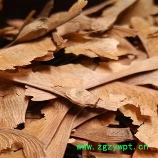 圣草康园  蝴蝶花  三色堇图2