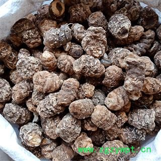 重楼个 国产重楼个正品保证质量7天无理由退货退款 中药材批发 丽丽药业图3