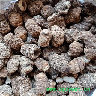 重楼个 国产重楼个正品保证质量7天无理由退货退款 中药材批发 丽丽药业图2