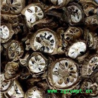 预知子 八月札选货 预知子 质量好价格低 产地 湖北省 产地 湖北省图2