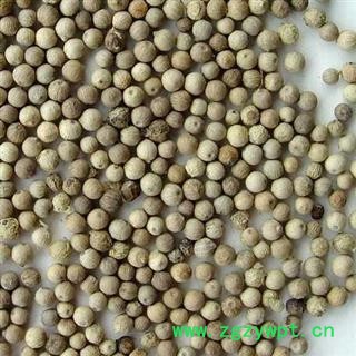 白胡椒 选货 产地 广西壮族自治区图2