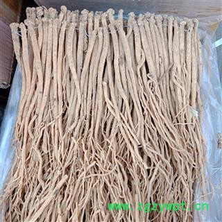 党参个 党参条 大条精品选货正品保证实图拍照 中药材批发丽丽药业图2